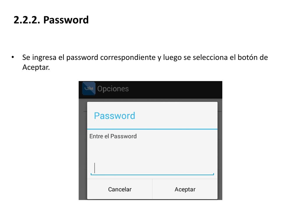 Password Se ingresa el password correspondiente y luego se selecciona el botón de Aceptar.