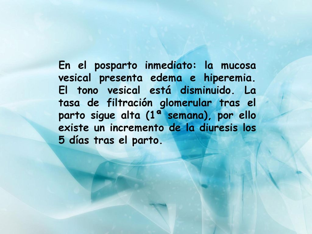 En el posparto inmediato: la mucosa vesical presenta edema e hiperemia