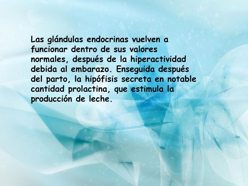Las glándulas endocrinas vuelven a funcionar dentro de sus valores normales, después de la hiperactividad debida al embarazo.