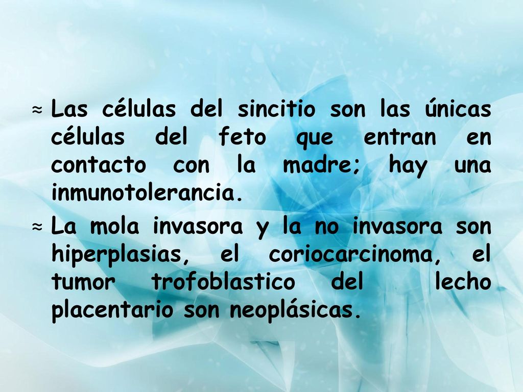 Las células del sincitio son las únicas células del feto que entran en contacto con la madre; hay una inmunotolerancia.