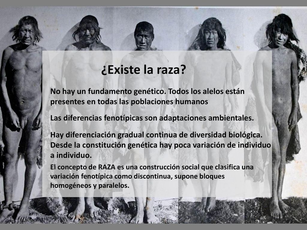 ¿Existe la raza No hay un fundamento genético. Todos los alelos están presentes en todas las poblaciones humanos.