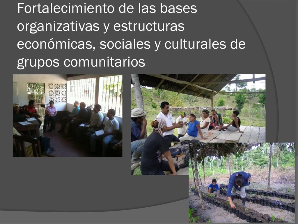 Fortalecimiento de las bases organizativas y estructuras económicas, sociales y culturales de grupos comunitarios