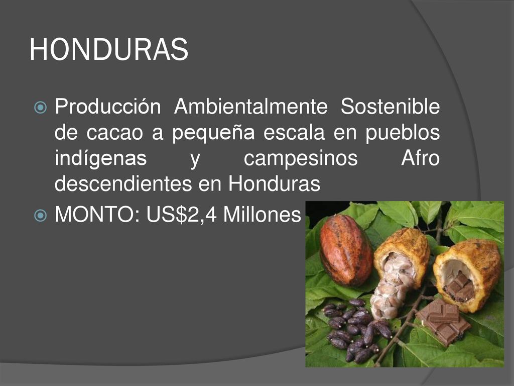 HONDURAS Producción Ambientalmente Sostenible de cacao a pequeña escala en pueblos indígenas y campesinos Afro descendientes en Honduras.