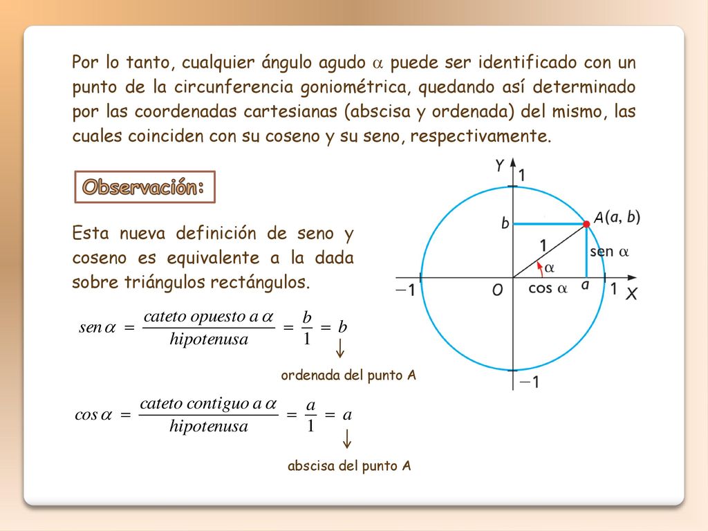Por lo tanto, cualquier ángulo agudo  puede ser identificado con un punto de la circunferencia goniométrica, quedando así determinado por las coordenadas cartesianas (abscisa y ordenada) del mismo, las cuales coinciden con su coseno y su seno, respectivamente.