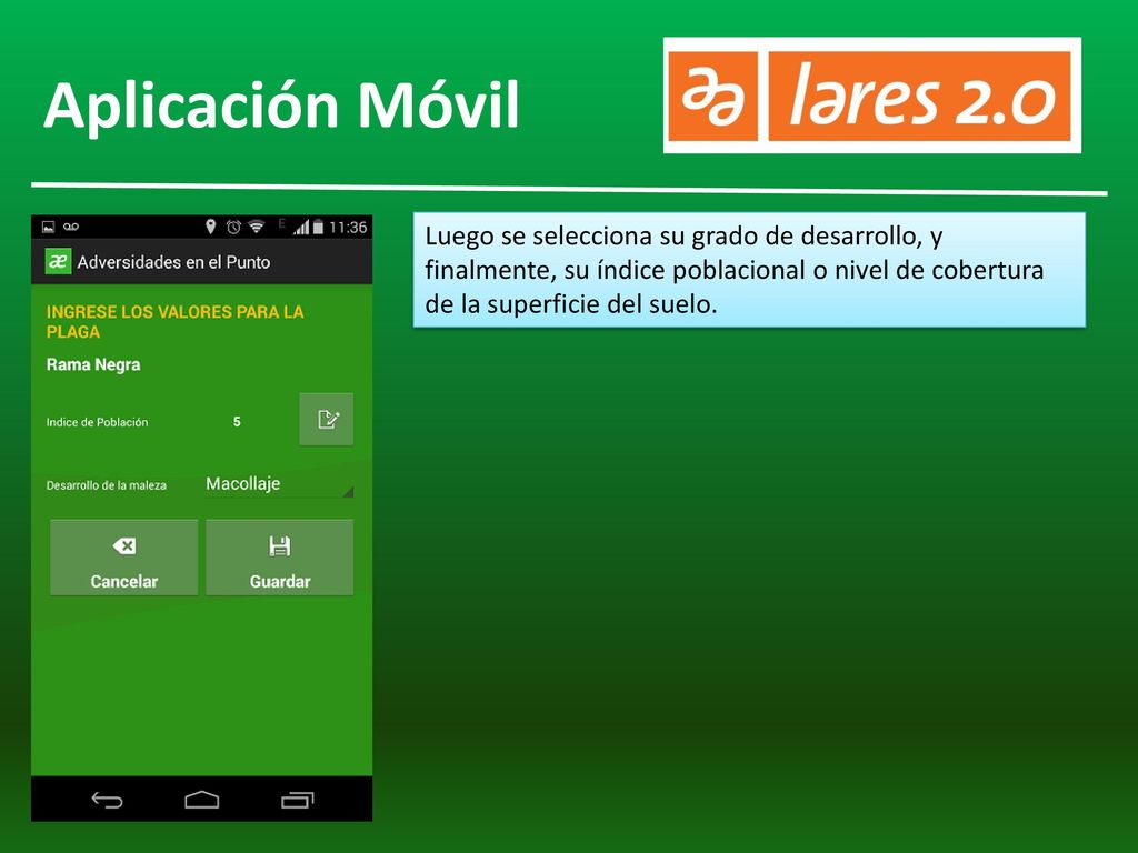 Aplicación Móvil Luego se selecciona su grado de desarrollo, y finalmente, su índice poblacional o nivel de cobertura de la superficie del suelo.
