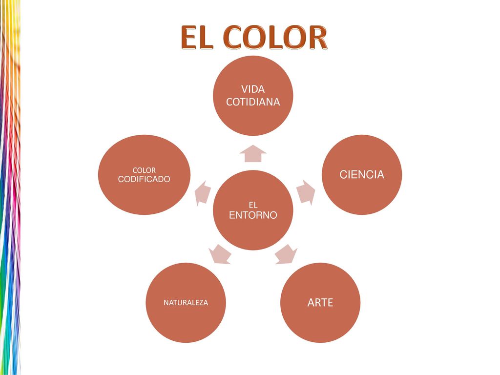 EL COLOR ARTE CIENCIA EL ENTORNO COLOR CODIFICADO NATURALEZA