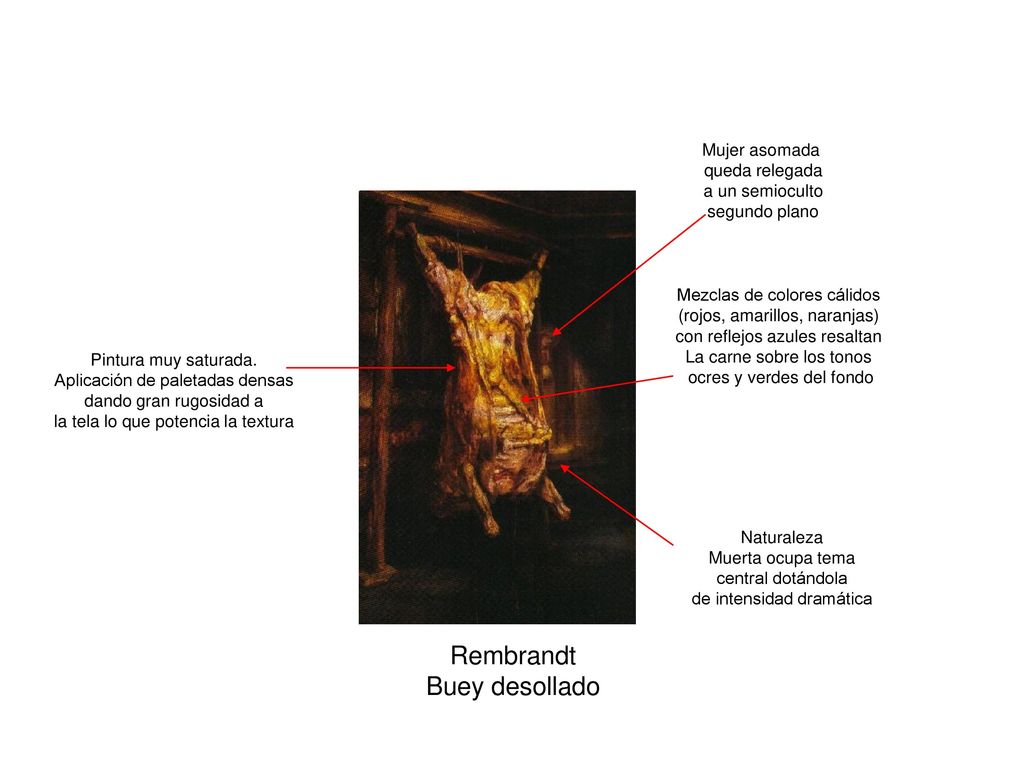 Rembrandt Buey desollado Mujer asomada queda relegada a un semioculto