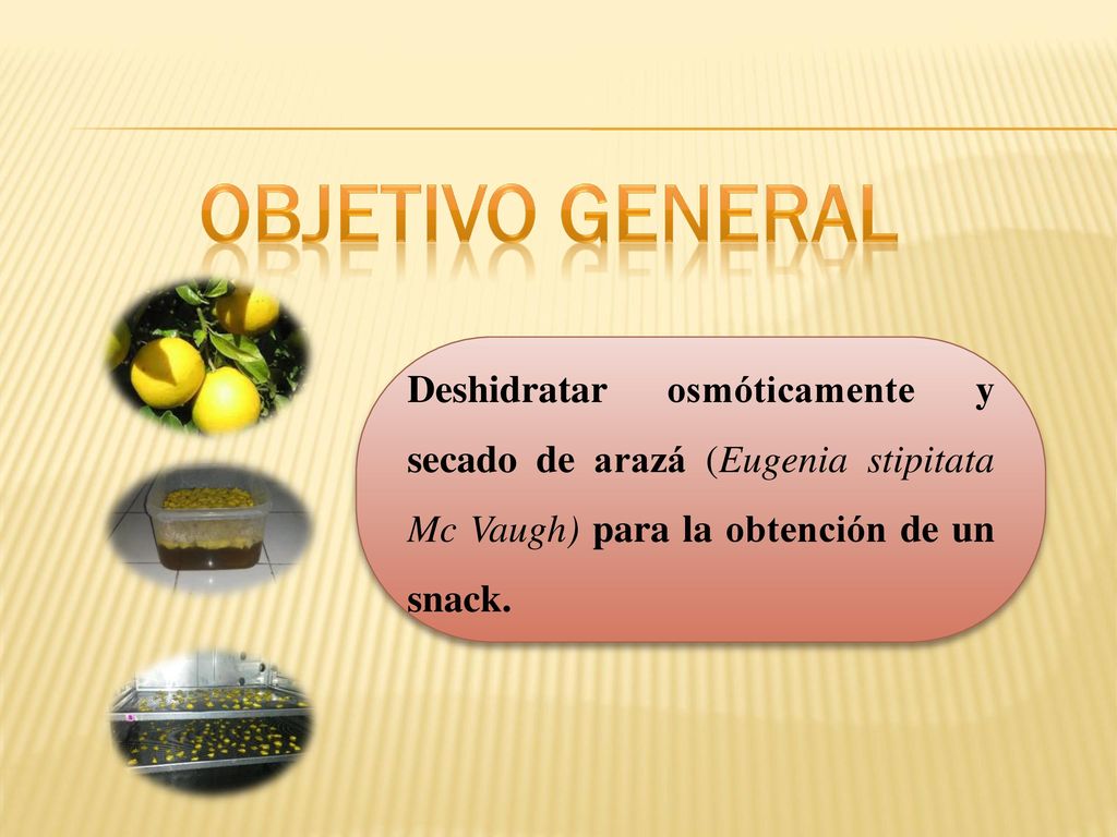 OBJETIVO GENERAL Deshidratar osmóticamente y secado de arazá (Eugenia stipitata Mc Vaugh) para la obtención de un snack.