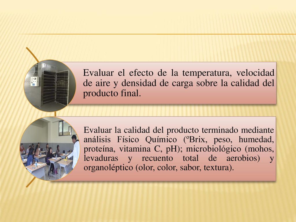 Evaluar el efecto de la temperatura, velocidad de aire y densidad de carga sobre la calidad del producto final.