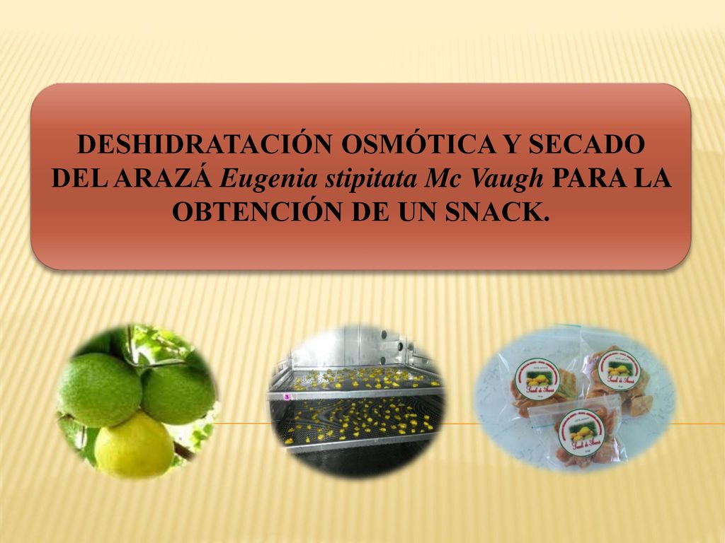 DESHIDRATACIÓN OSMÓTICA Y SECADO DEL ARAZÁ Eugenia stipitata Mc Vaugh PARA LA OBTENCIÓN DE UN SNACK.