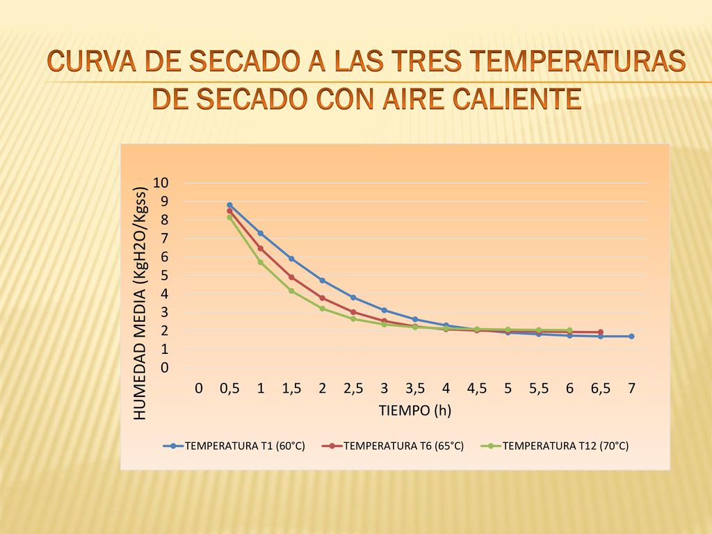 CURVA DE SECADO A LAS TRES TEMPERATURAS DE SECADO CON AIRE CALIENTE