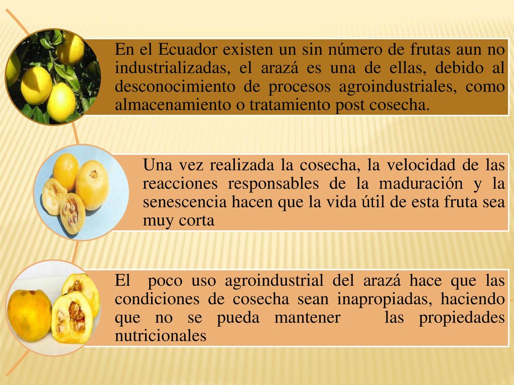En el Ecuador existen un sin número de frutas aun no industrializadas, el arazá es una de ellas, debido al desconocimiento de procesos agroindustriales, como almacenamiento o tratamiento post cosecha.