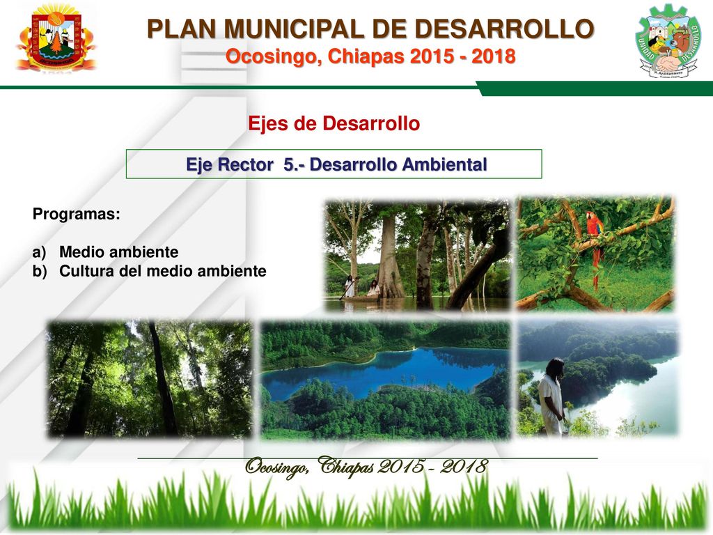 PLAN MUNICIPAL DE DESARROLLO Ocosingo, Chiapas