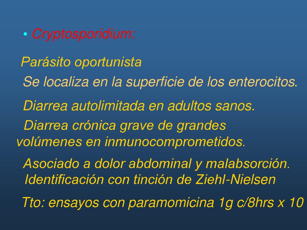 Cryptosporidium: Parásito oportunista. Se localiza en la superficie de los enterocitos. Diarrea autolimitada en adultos sanos.