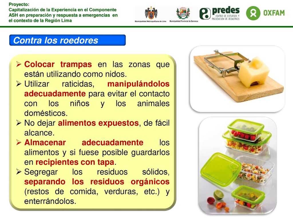 Contra los roedores Colocar trampas en las zonas que están utilizando como nidos.