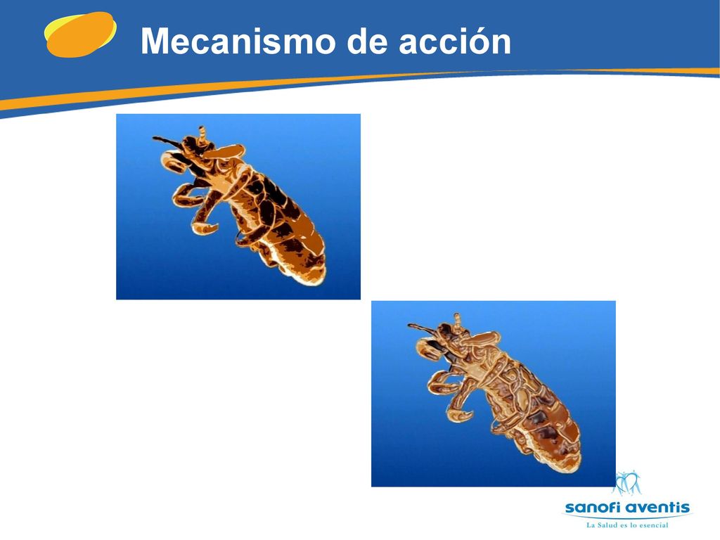 Mecanismo de acción *Piojo en estado natural parásito sin silicona