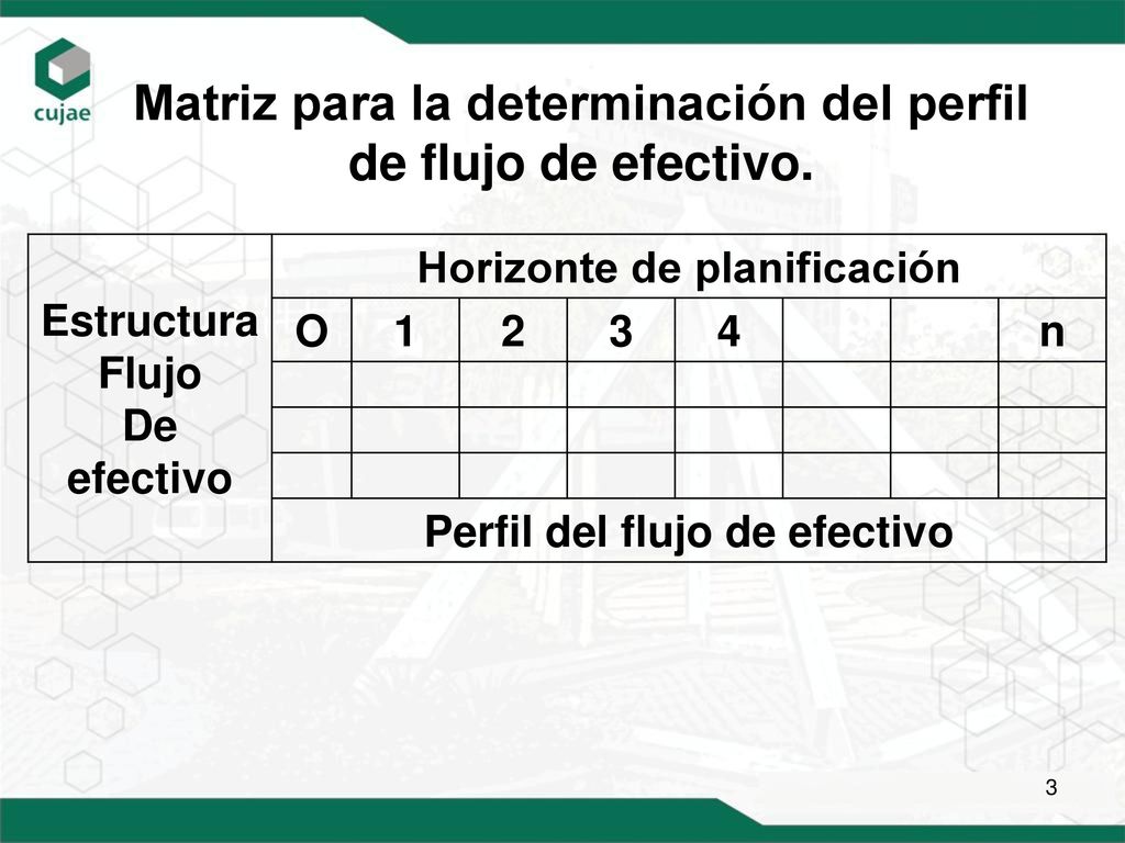 Matriz para la determinación del perfil de flujo de efectivo.