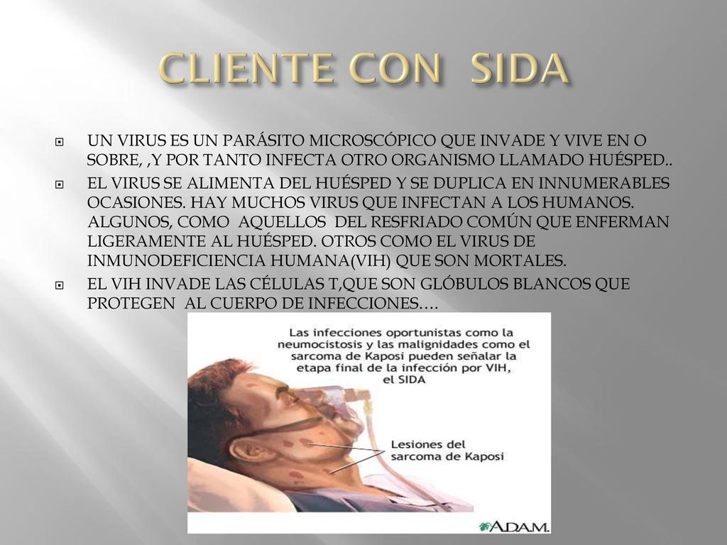 CLIENTE CON SIDA UN VIRUS ES UN PARÁSITO MICROSCÓPICO QUE INVADE Y VIVE EN O SOBRE, ,Y POR TANTO INFECTA OTRO ORGANISMO LLAMADO HUÉSPED..