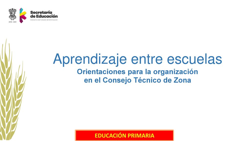 Orientaciones para la organización en el Consejo Técnico de Zona
