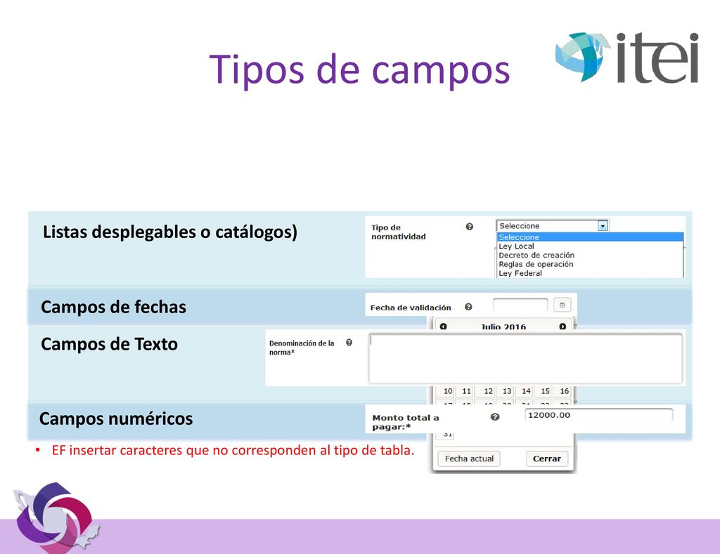 Tipos de campos Listas desplegables o catálogos) Campos de fechas