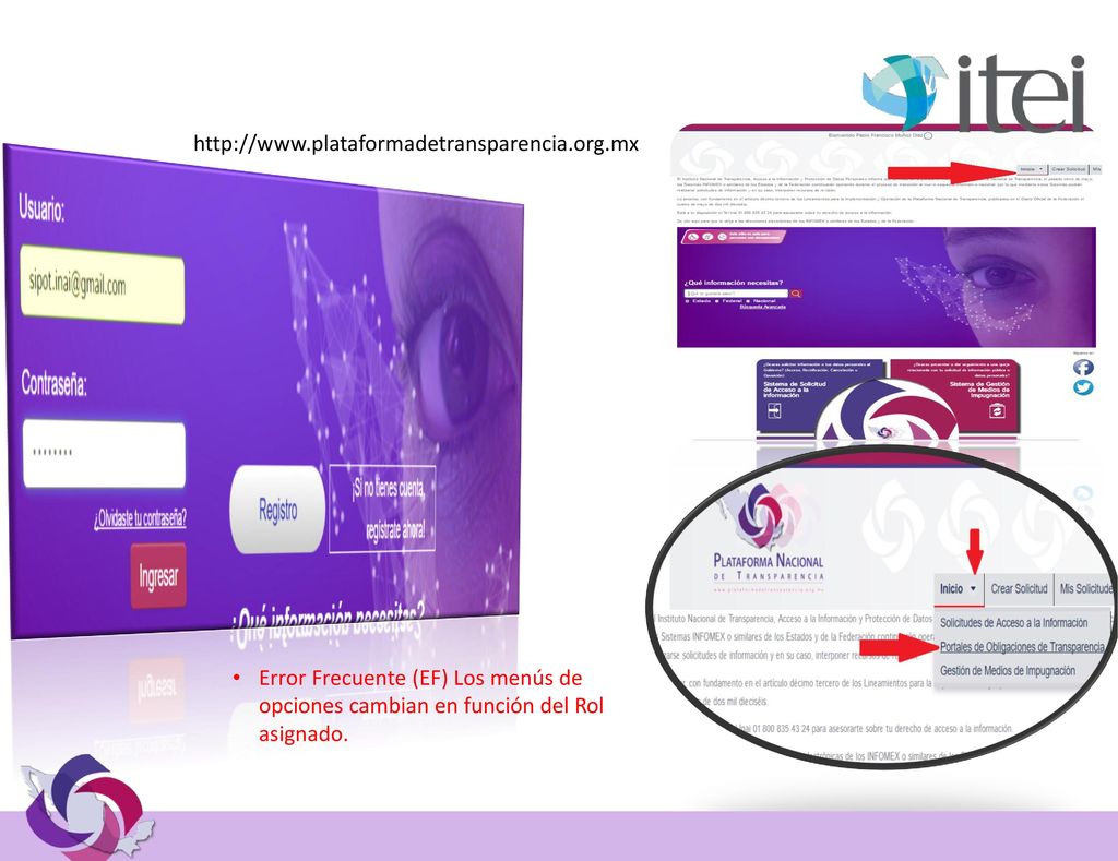 Error Frecuente (EF) Los menús de opciones cambian en función del Rol asignado.