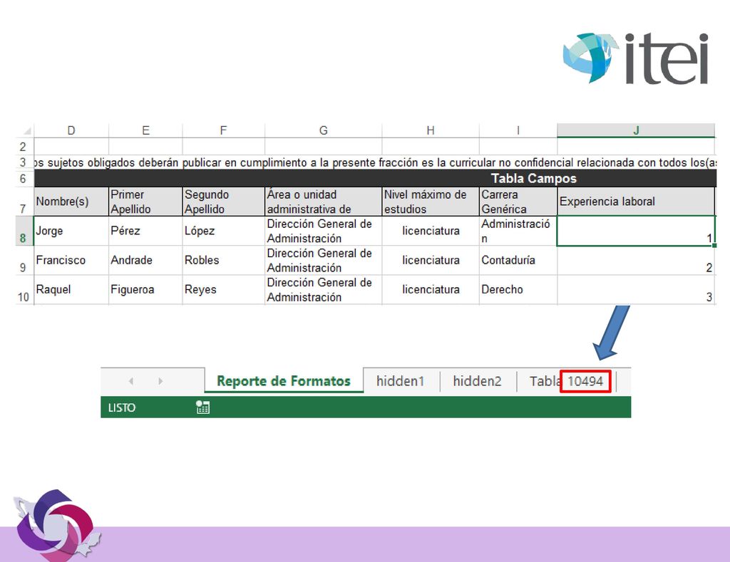 Formatos carga masiva (campos tipo tabla)