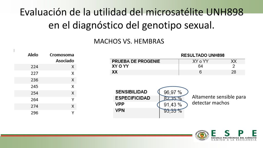 Evaluación de la utilidad del microsatélite UNH898 en el diagnóstico del genotipo sexual.