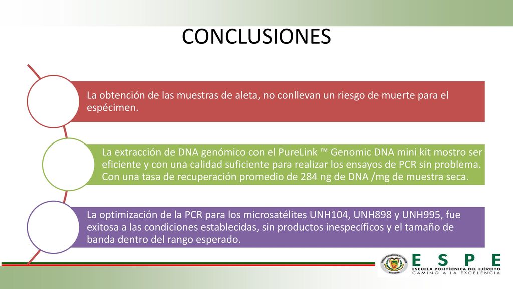CONCLUSIONES La obtención de las muestras de aleta, no conllevan un riesgo de muerte para el espécimen.