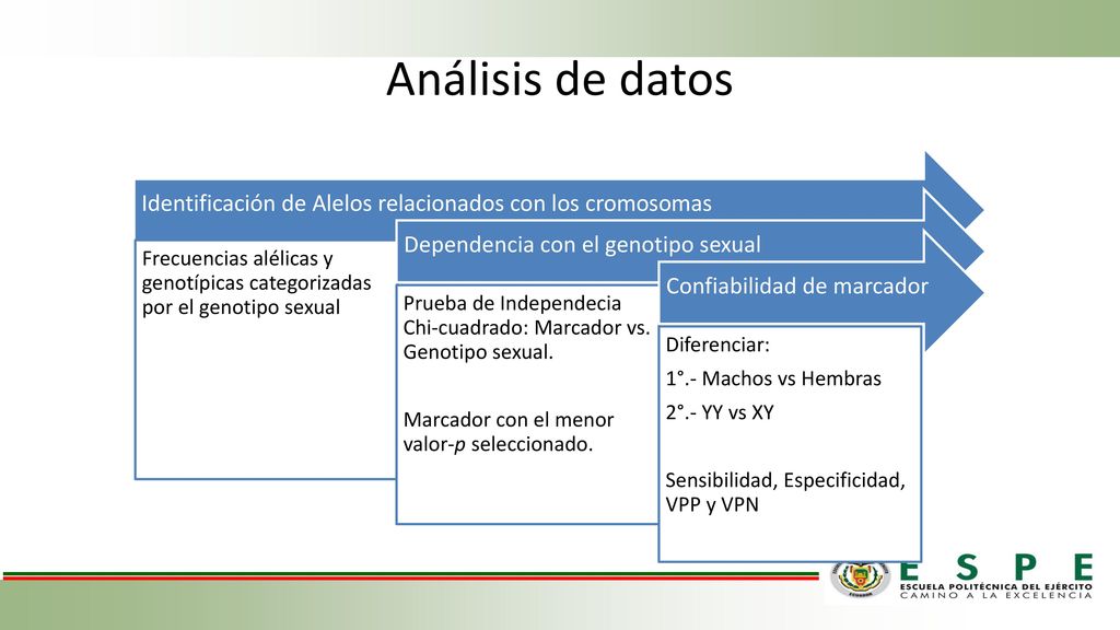 Análisis de datos Identificación de Alelos relacionados con los cromosomas. Frecuencias alélicas y genotípicas categorizadas por el genotipo sexual.