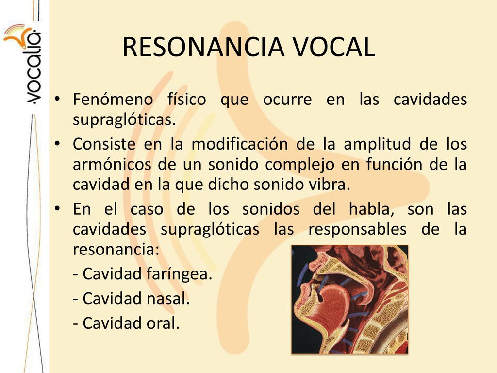RESONANCIA VOCAL Fenómeno físico que ocurre en las cavidades supraglóticas.