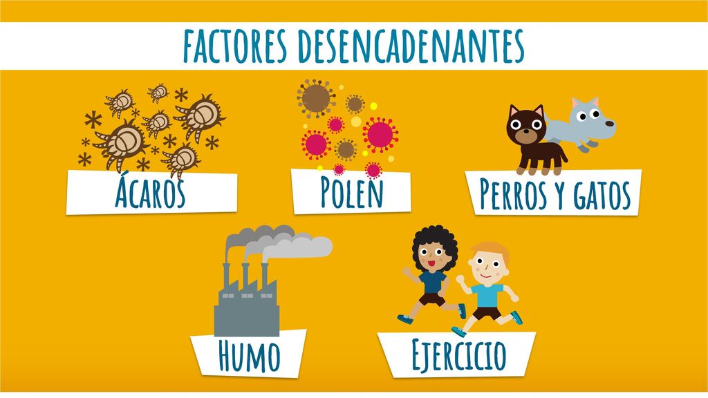 Existen varios factores que pueden producir una crisis de asma