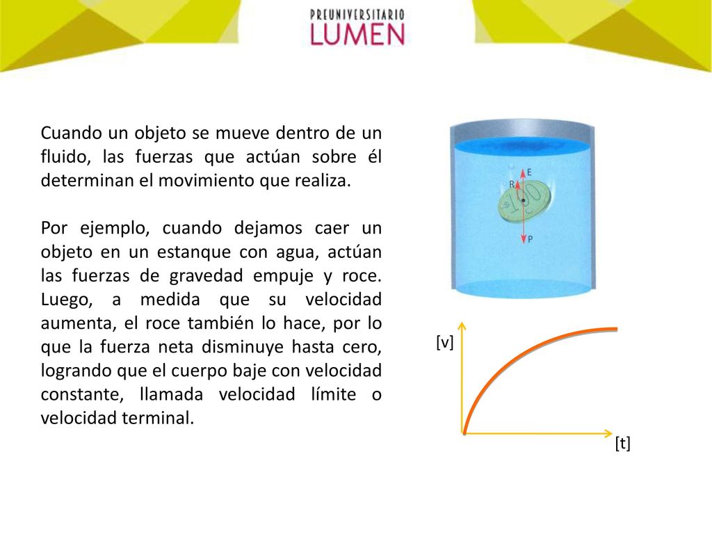 Cuando un objeto se mueve dentro de un fluido, las fuerzas que actúan sobre él determinan el movimiento que realiza.