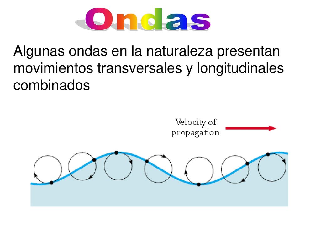 Ondas Algunas ondas en la naturaleza presentan movimientos transversales y longitudinales combinados.