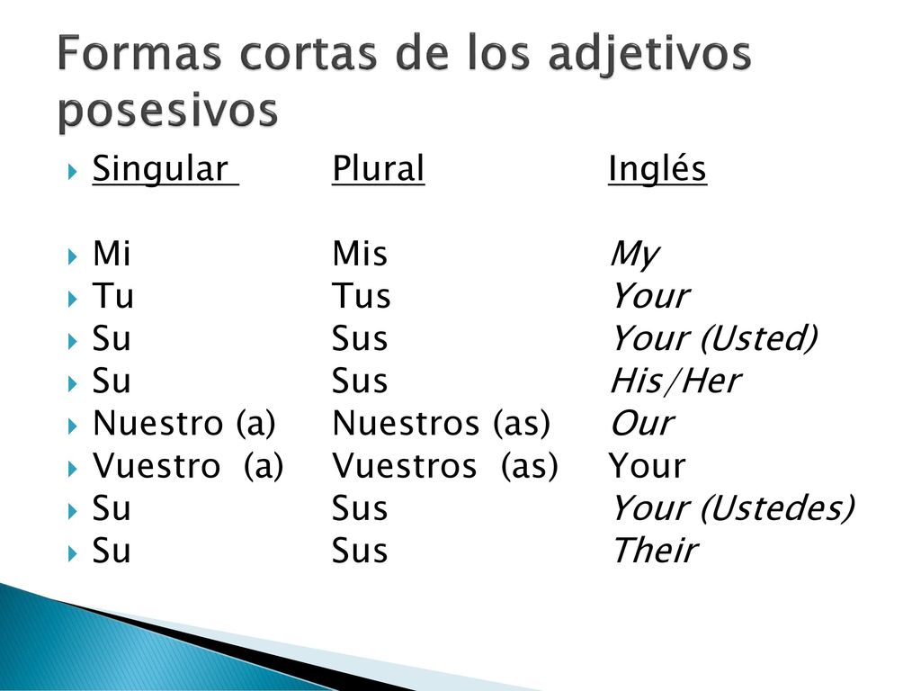 Formas cortas de los adjetivos posesivos