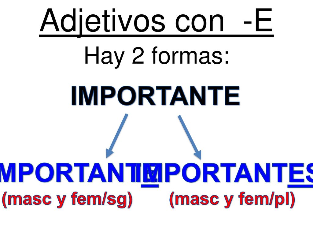 Adjetivos con -E IMPORTANTE IMPORTANTE IMPORTANTES Hay 2 formas: