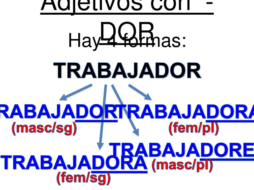 Adjetivos con -DOR TRABAJADOR Hay 4 formas: TRABAJADOR TRABAJADORAS