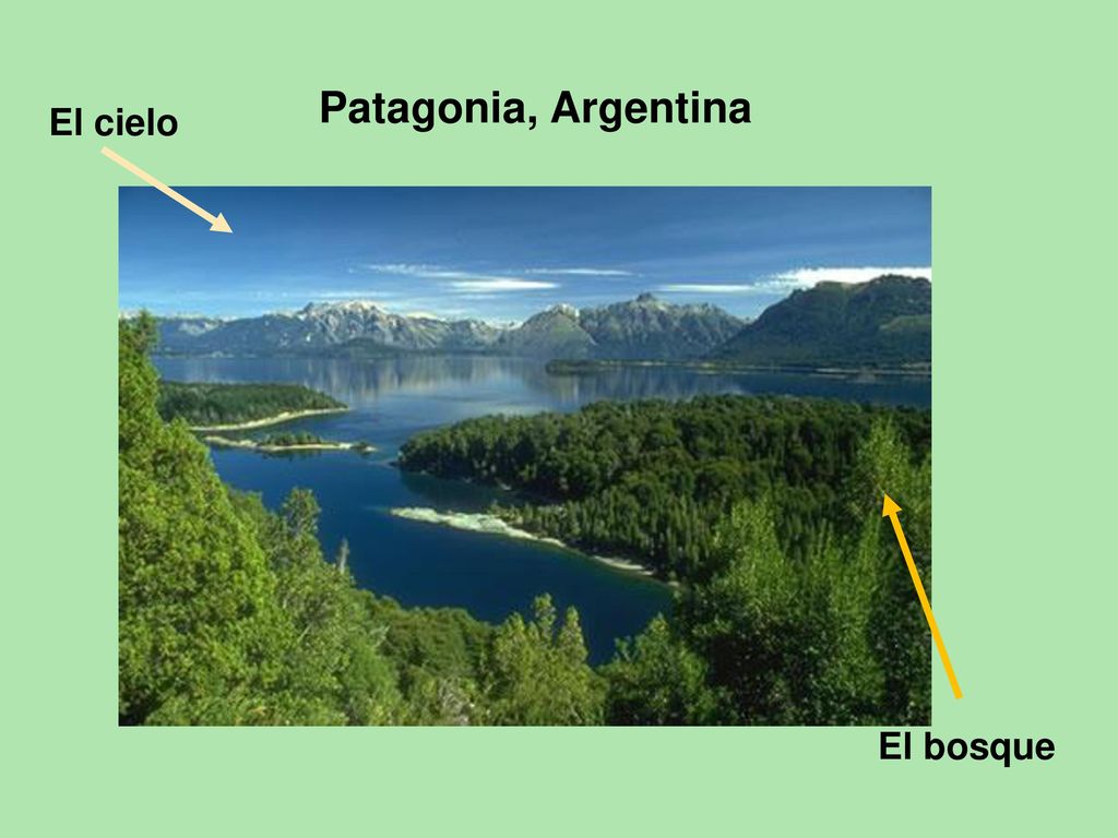 Patagonia, Argentina El cielo El bosque