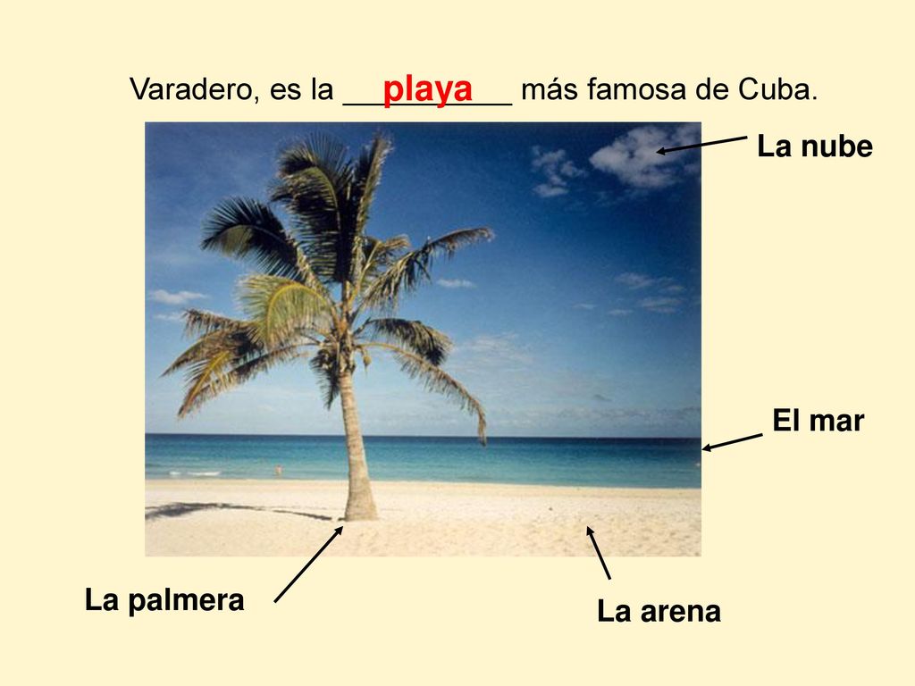 playa Varadero, es la __________ más famosa de Cuba. La nube El mar
