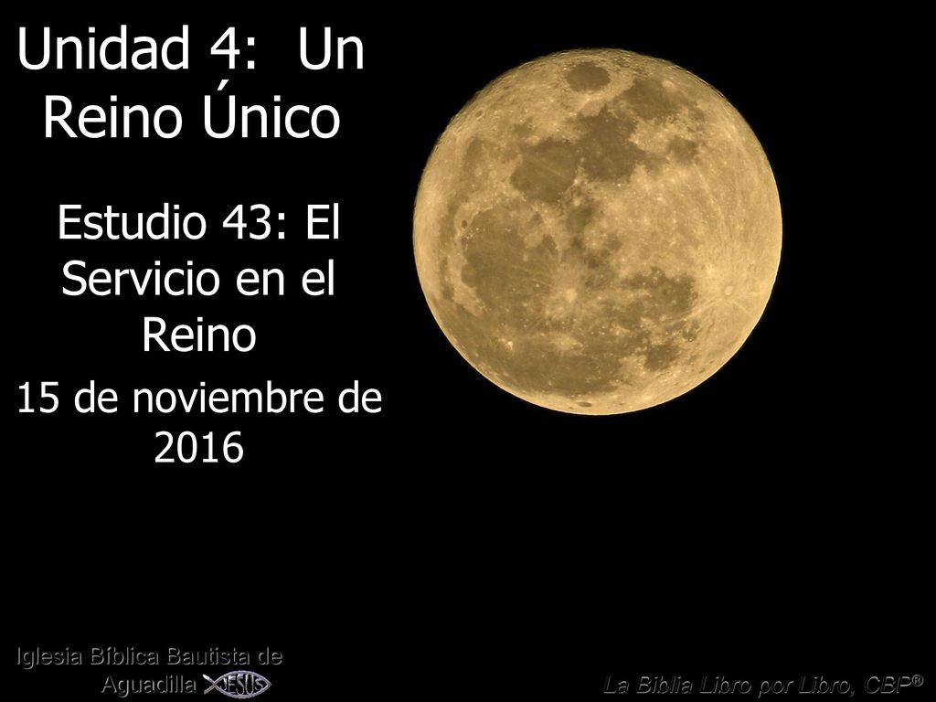 Estudio 43: El Servicio en el Reino 15 de noviembre de 2016