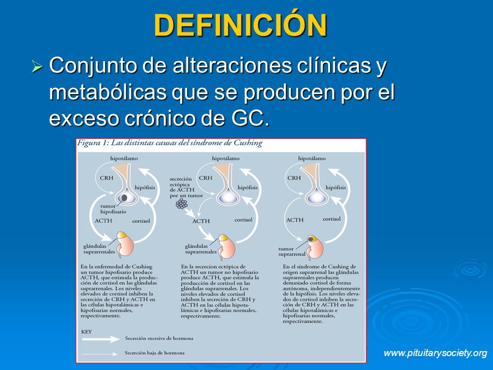 DEFINICIÓN Conjunto de alteraciones clínicas y metabólicas que se producen por el exceso crónico de GC.