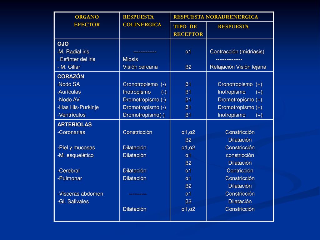 ORGANO EFECTOR. RESPUESTA. COLINERGICA. RESPUESTA NORADRENERGICA. TIPO DE. RECEPTOR. OJO. M. Radial iris.