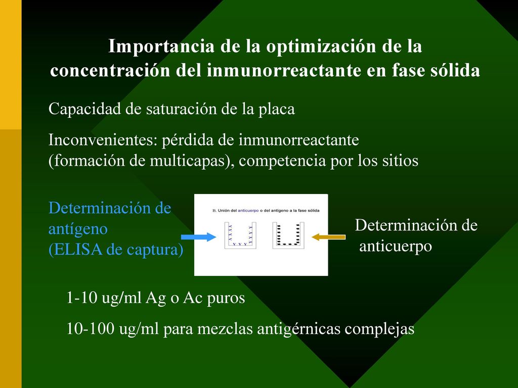 Importancia de la optimización de la concentración del inmunorreactante en fase sólida