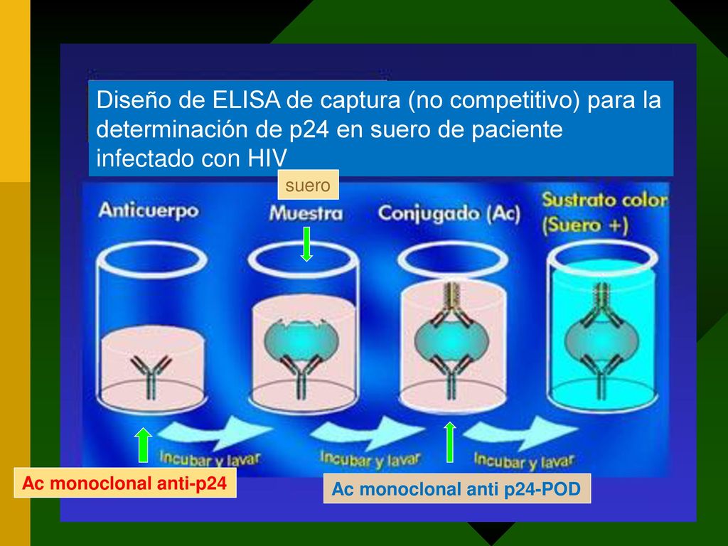 Diseño de ELISA de captura (no competitivo) para la determinación de p24 en suero de paciente infectado con HIV