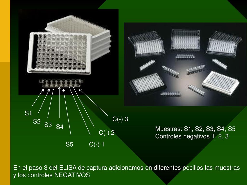 S1 C(-) 3. S2. S3. S4. Muestras: S1, S2, S3, S4, S5. Controles negativos 1, 2, 3. C(-) 2. S5.