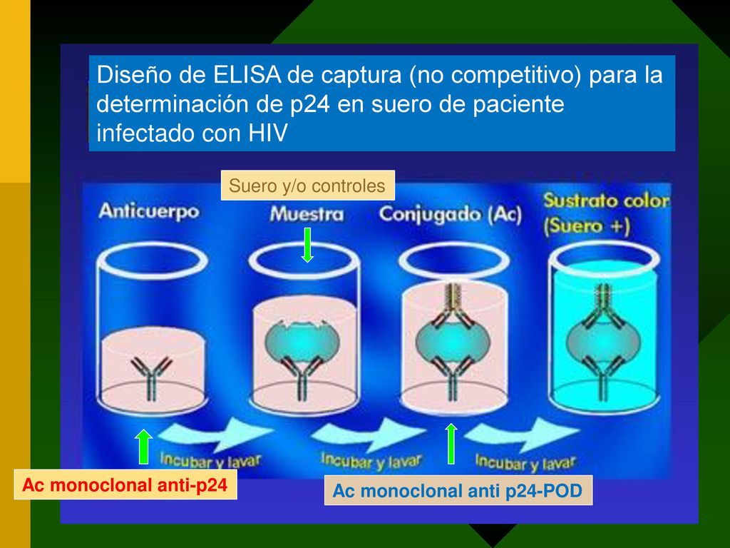 Diseño de ELISA de captura (no competitivo) para la determinación de p24 en suero de paciente infectado con HIV
