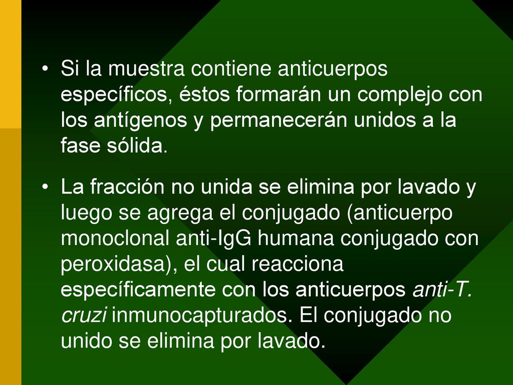 Si la muestra contiene anticuerpos específicos, éstos formarán un complejo con los antígenos y permanecerán unidos a la fase sólida.
