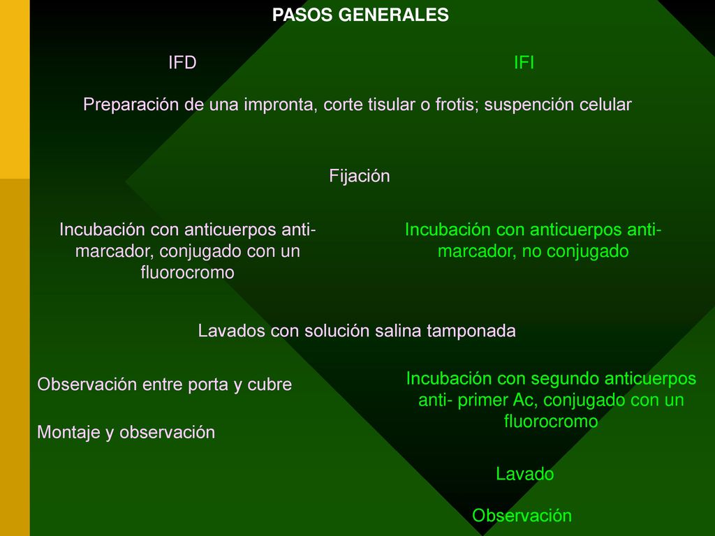 Incubación con anticuerpos anti- marcador, no conjugado