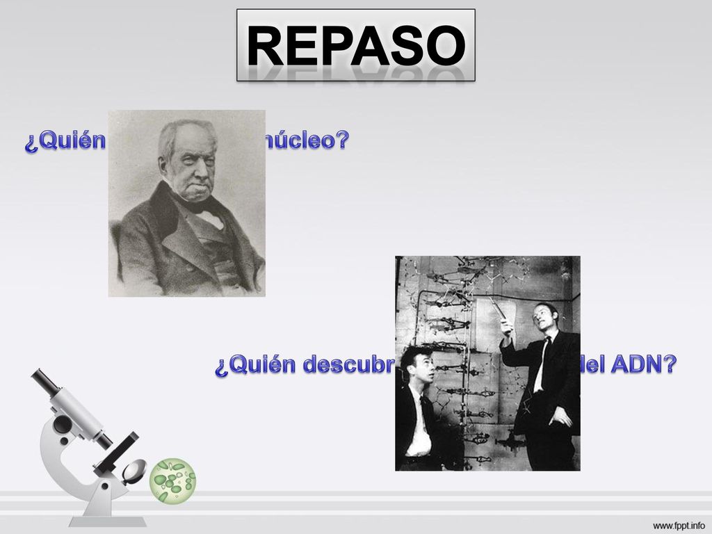 ¿Quién descubrió el núcleo ¿Quién descubrió la estructura del ADN