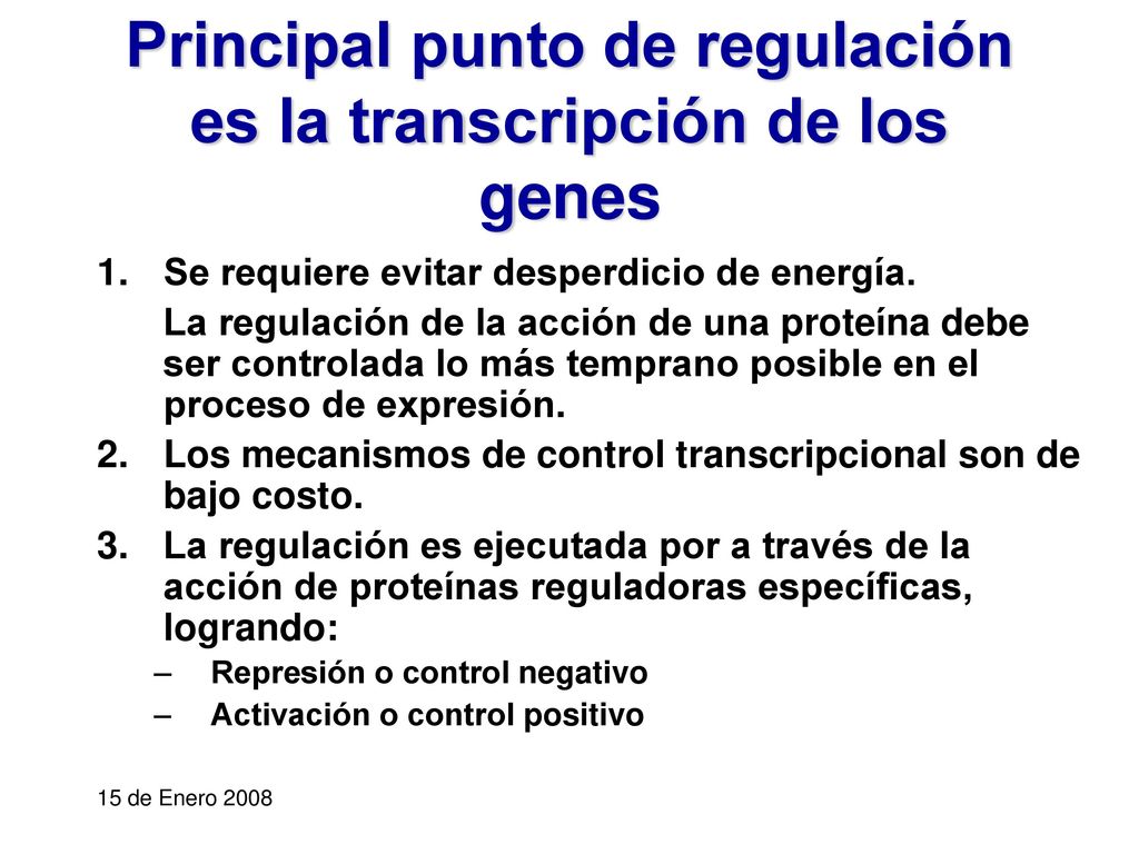 Principal punto de regulación es la transcripción de los genes