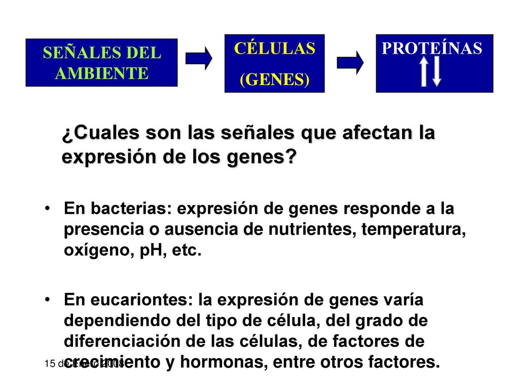 ¿Cuales son las señales que afectan la expresión de los genes